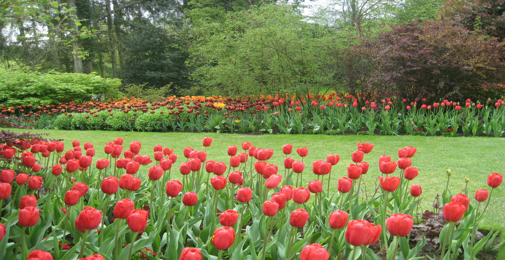 TUNB - FP - THINGS TO DO -  EASTER - PASHLEY MANOR GARDENS Tulips Kate Wilson.jpg