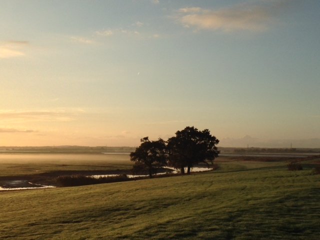 morning-at-elmley.jpg