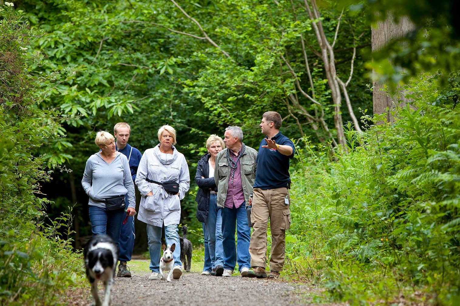 lullingstone-country-park-3 (1).jpg