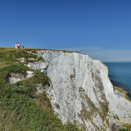 White Cliffs of Dover 500x500.jpg