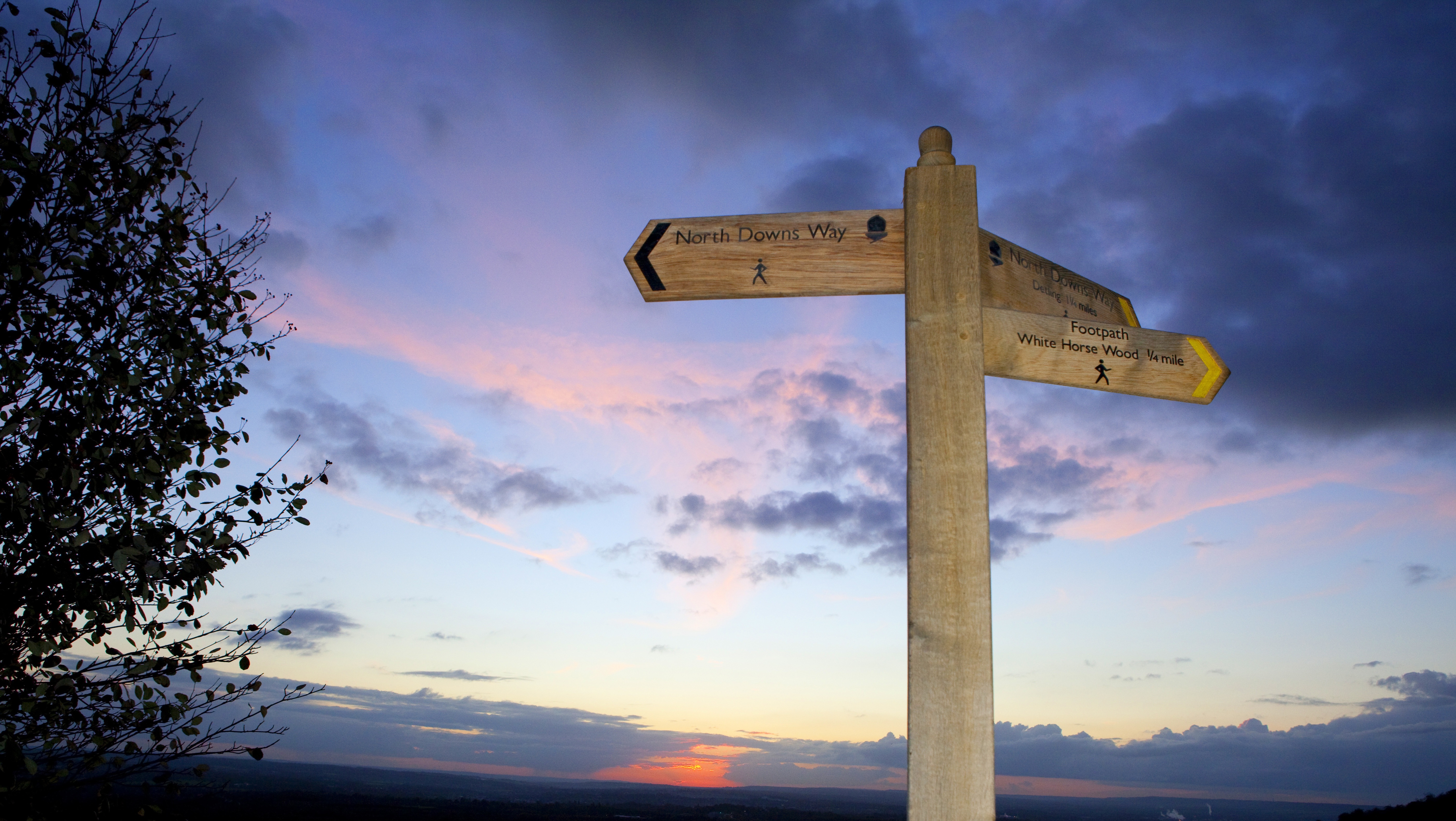 Banner - signposts.jpg (1)