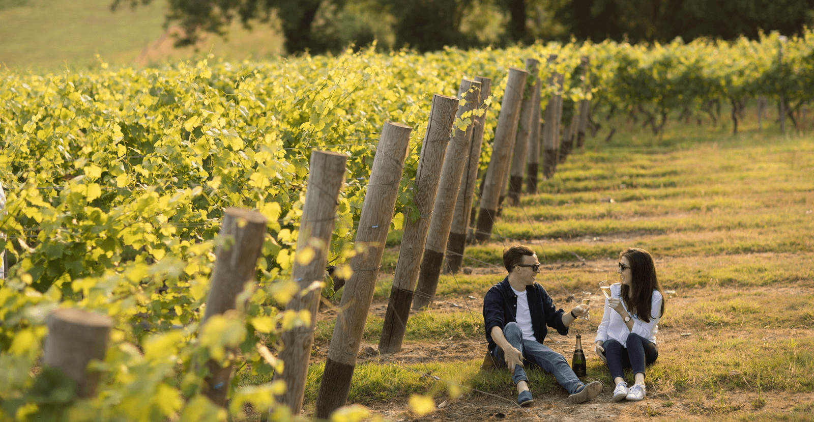 Valentine banner.png