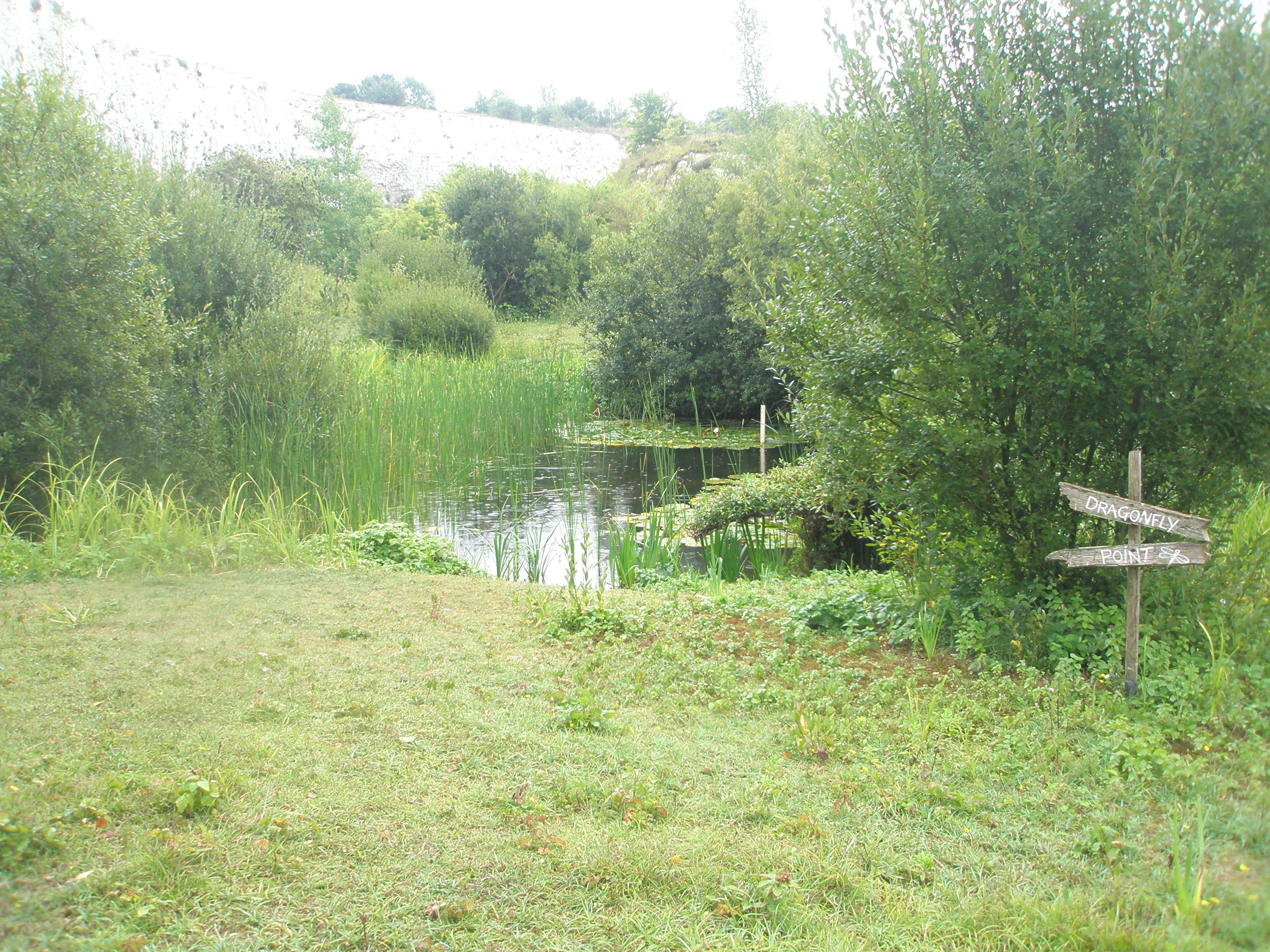 monkton-nature-reserve.jpg