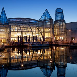 Wintergarden_Dusk_06 (2).jpg