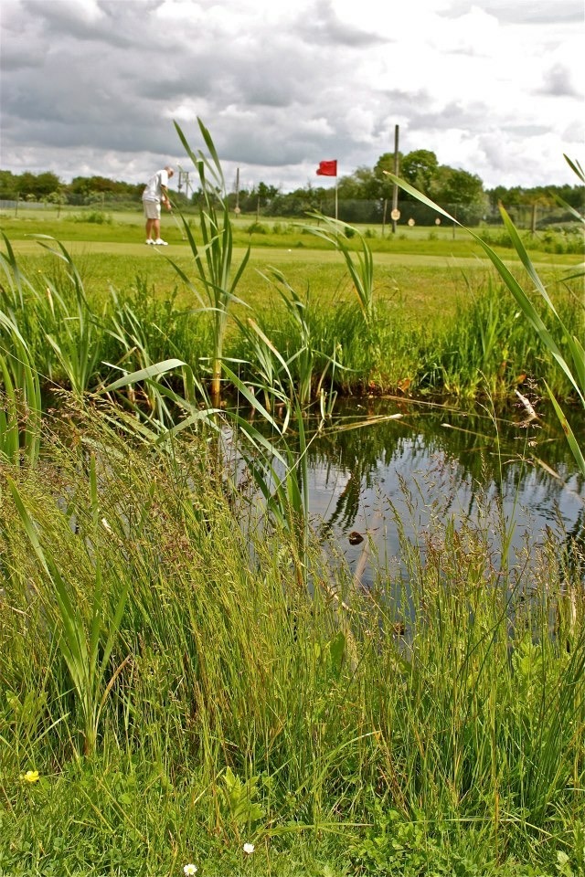 Sittingbourne Golf Centre Playing Golf Portrait.JPG