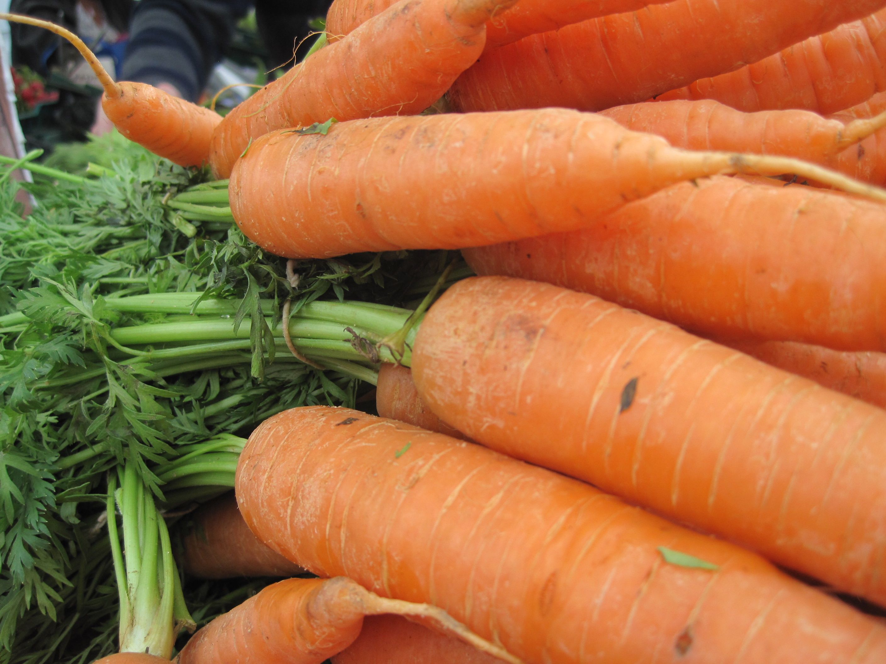 carrots---aylesford-farmers-market.jpg