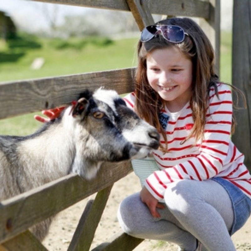 Untitled Design 2019 06 14T121902.071