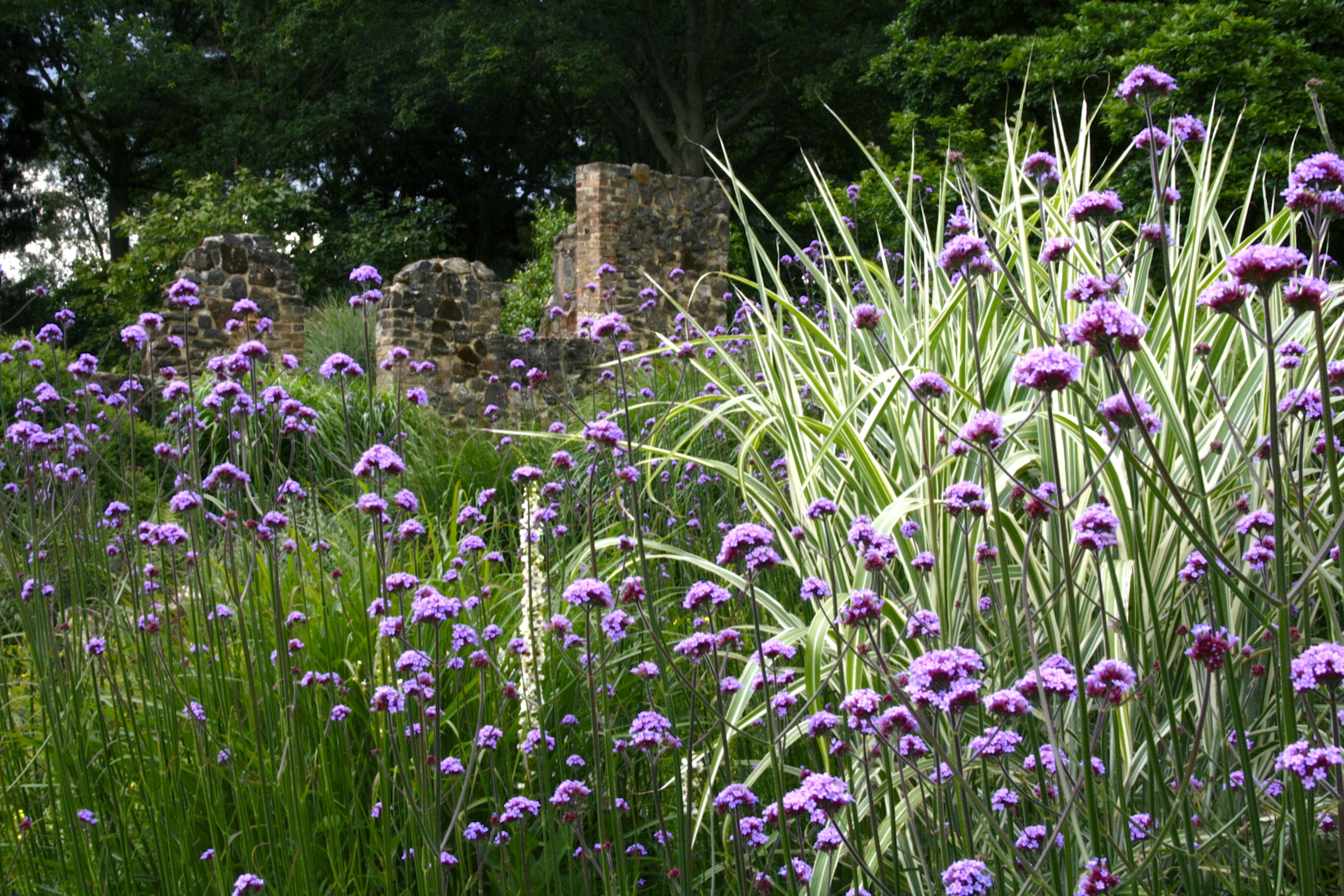 Vikki Rimmer July14 1