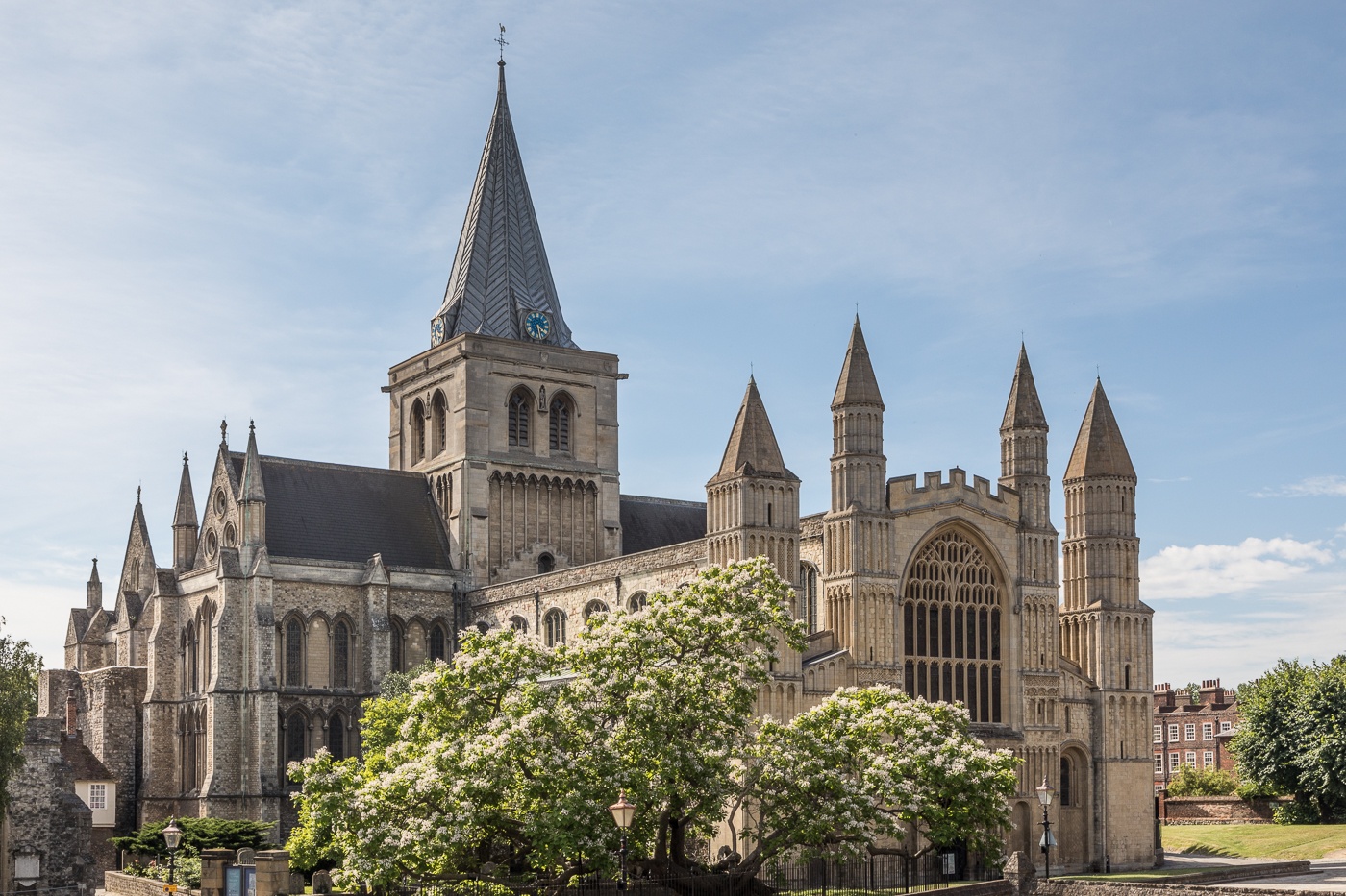 Rochester Cathedral West Front And Catalpa Tree