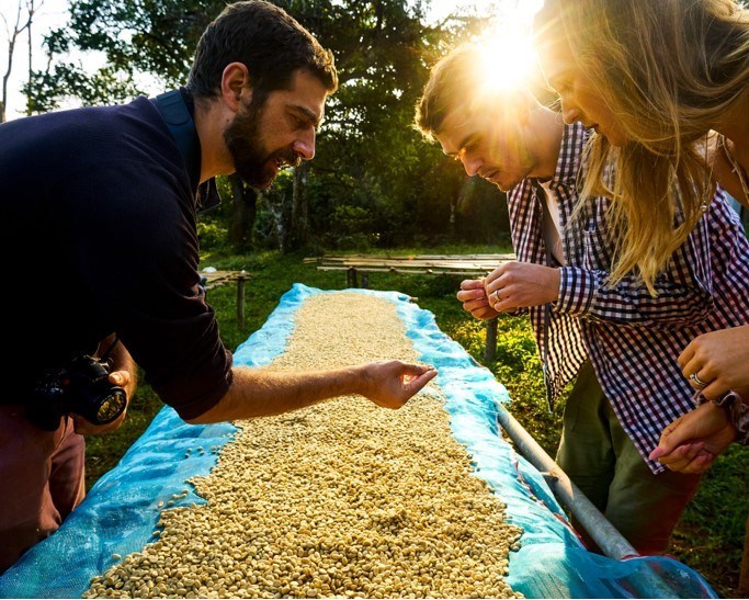 Andbloss Coffee Aug19 (C)