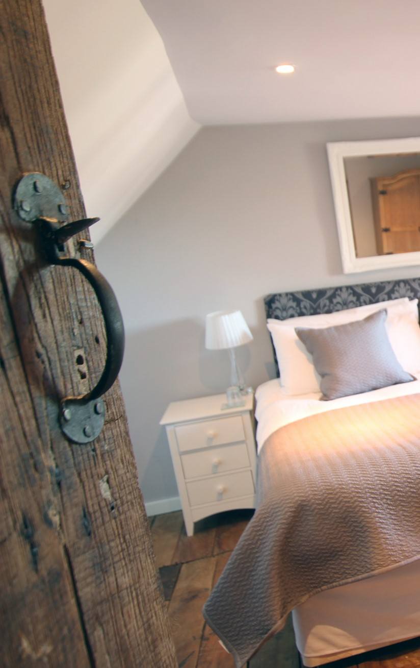 Green Farm Chestnut Sept19 (C)