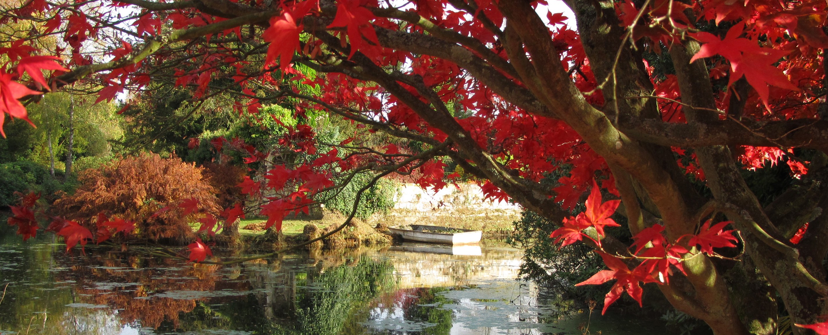 Scotney Castle IMG_0822.jpg