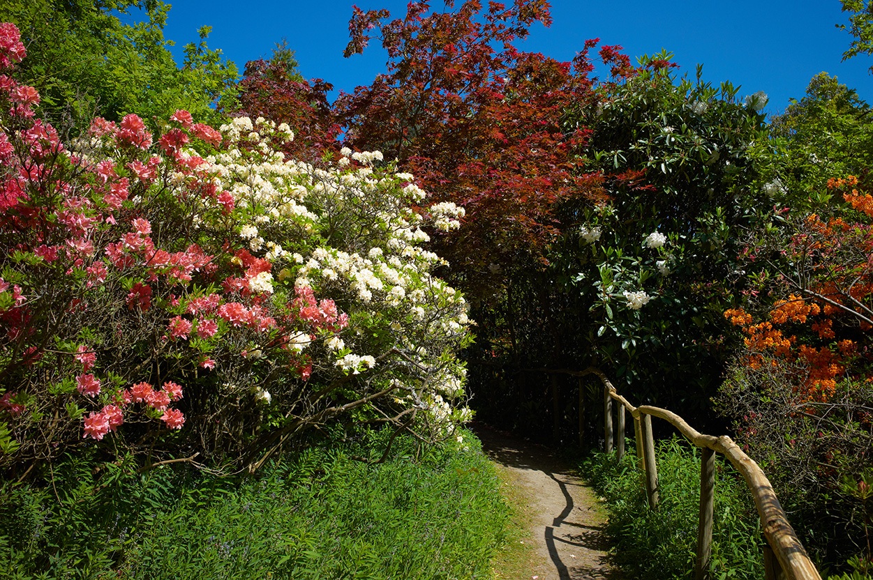 2012-12-21 14.39.52-2.jpg