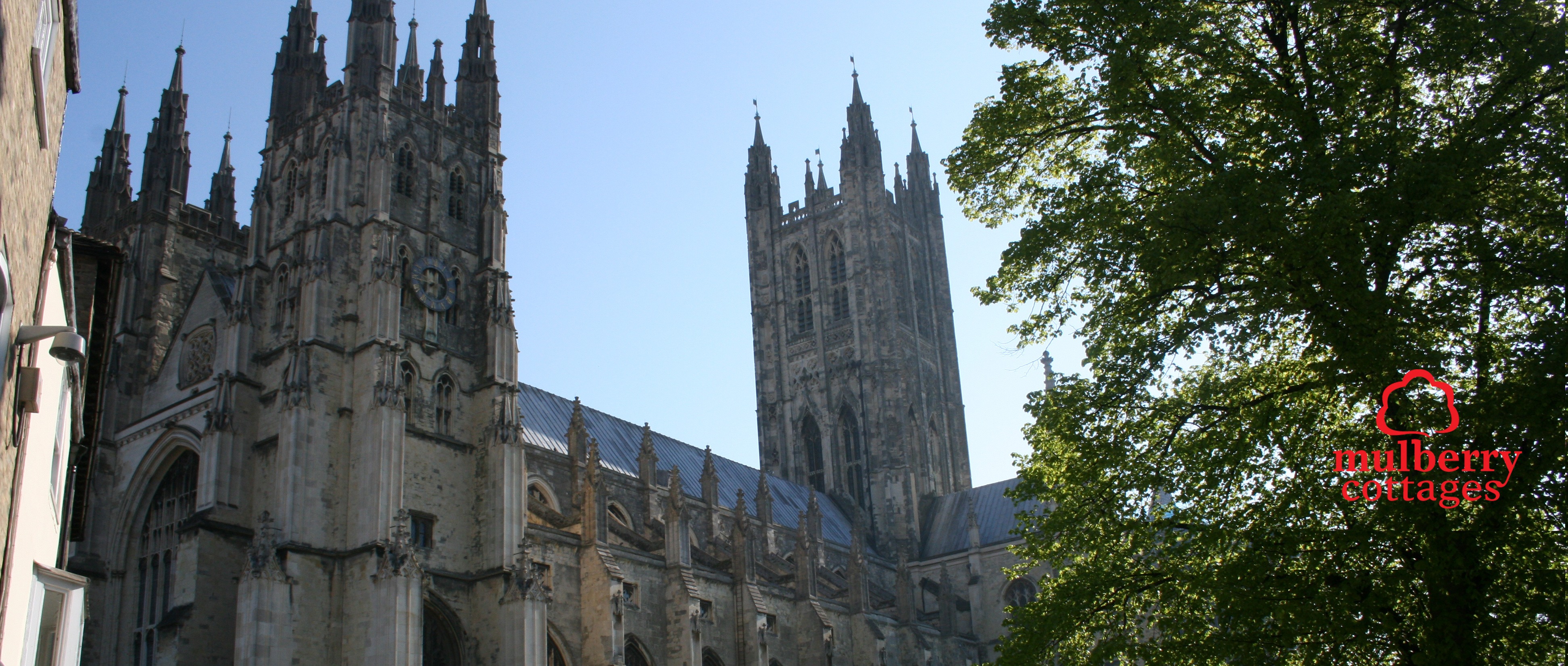 new-canterbury (2).jpg