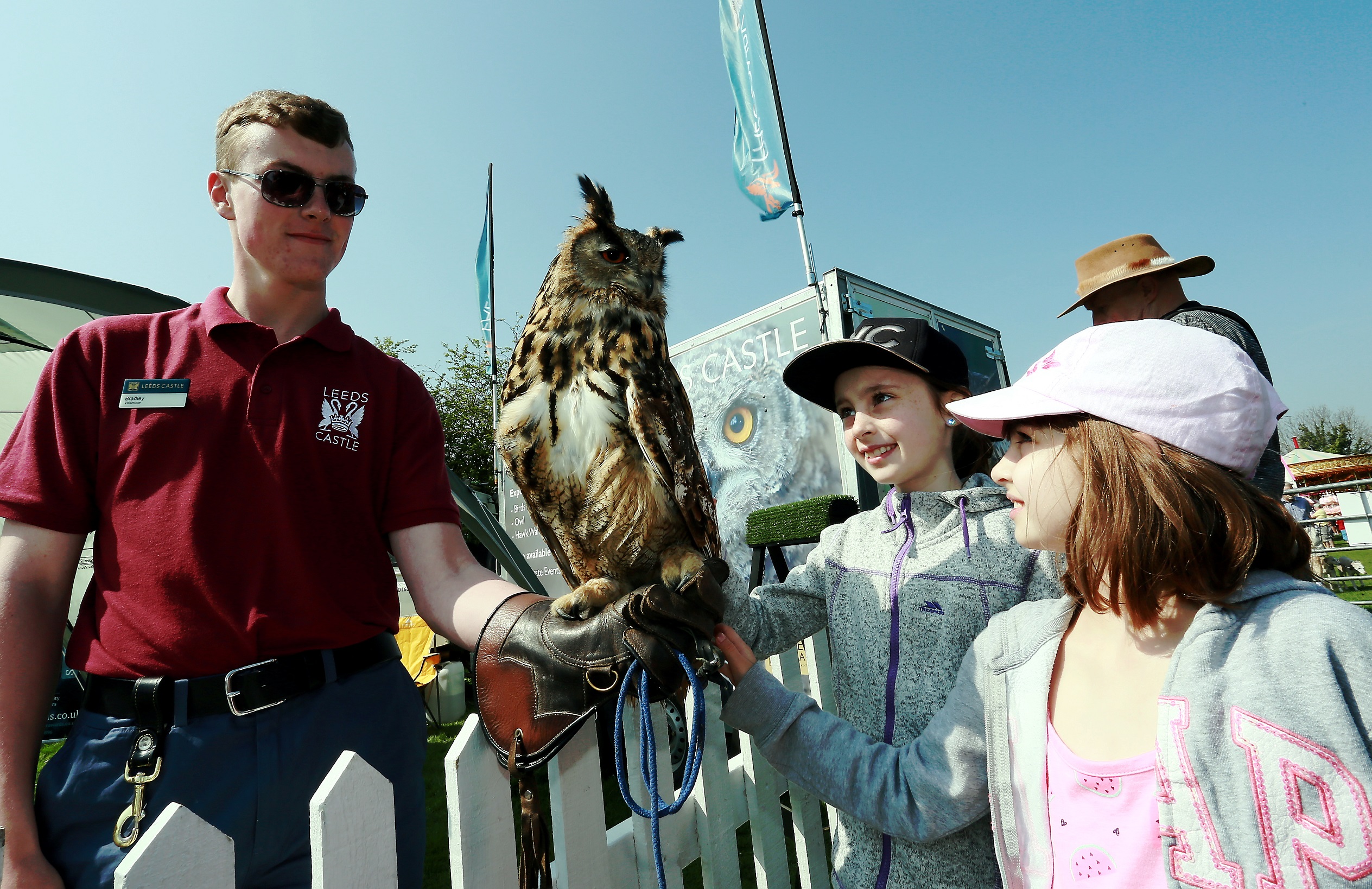 Bird Display Resized