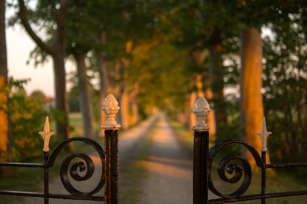 Pathway Between Green Trees Brown Steel Gate During Daytime 10678