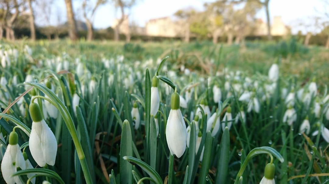 80457113 192921038516156 4847598006535955921 N