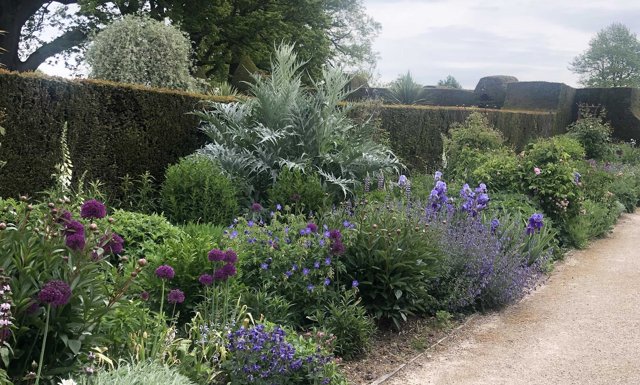 Hole Park Herbaceous Borders May20 (C)