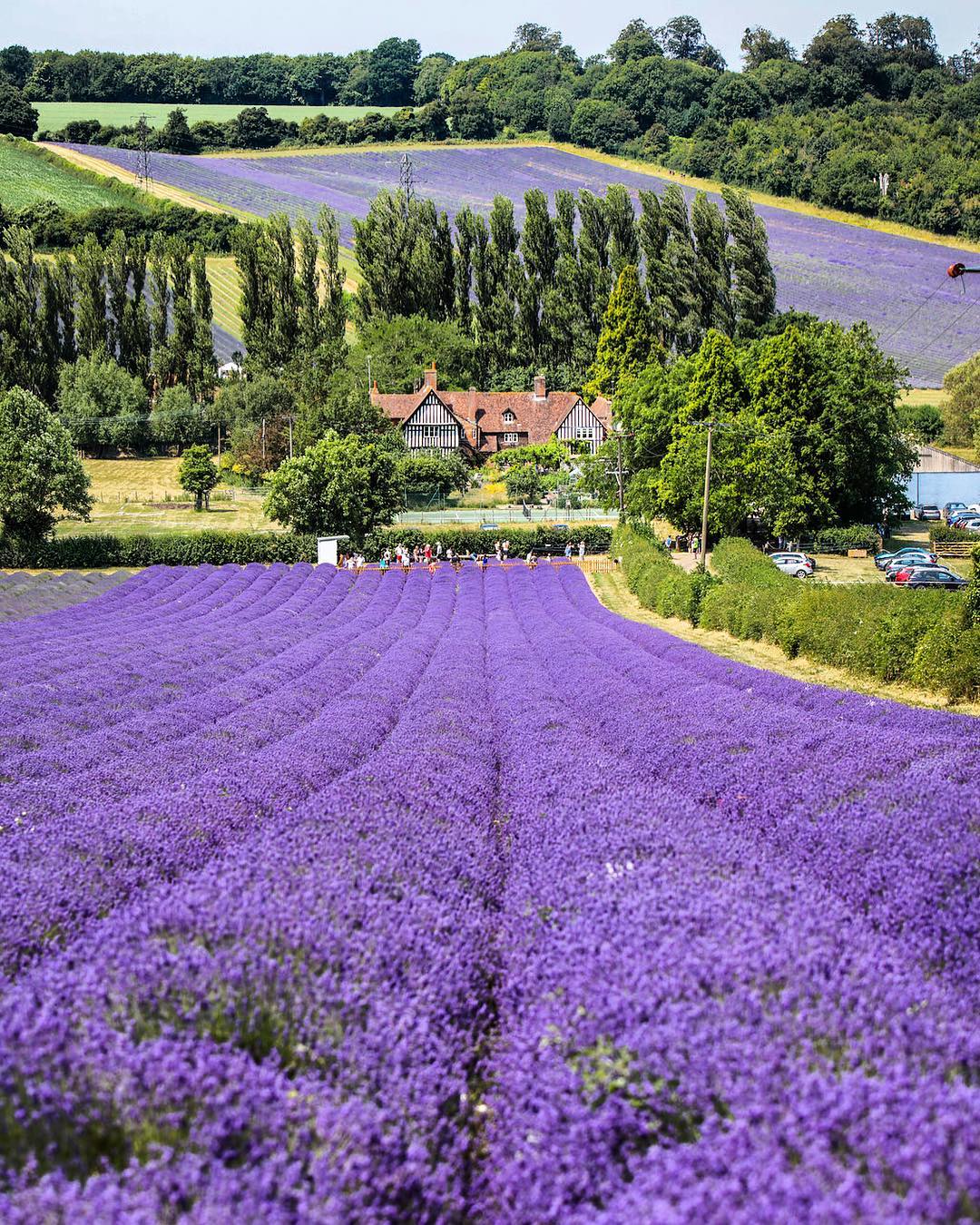 3E26db04 78F1 4Cb2 B8a6 D682dac2712c