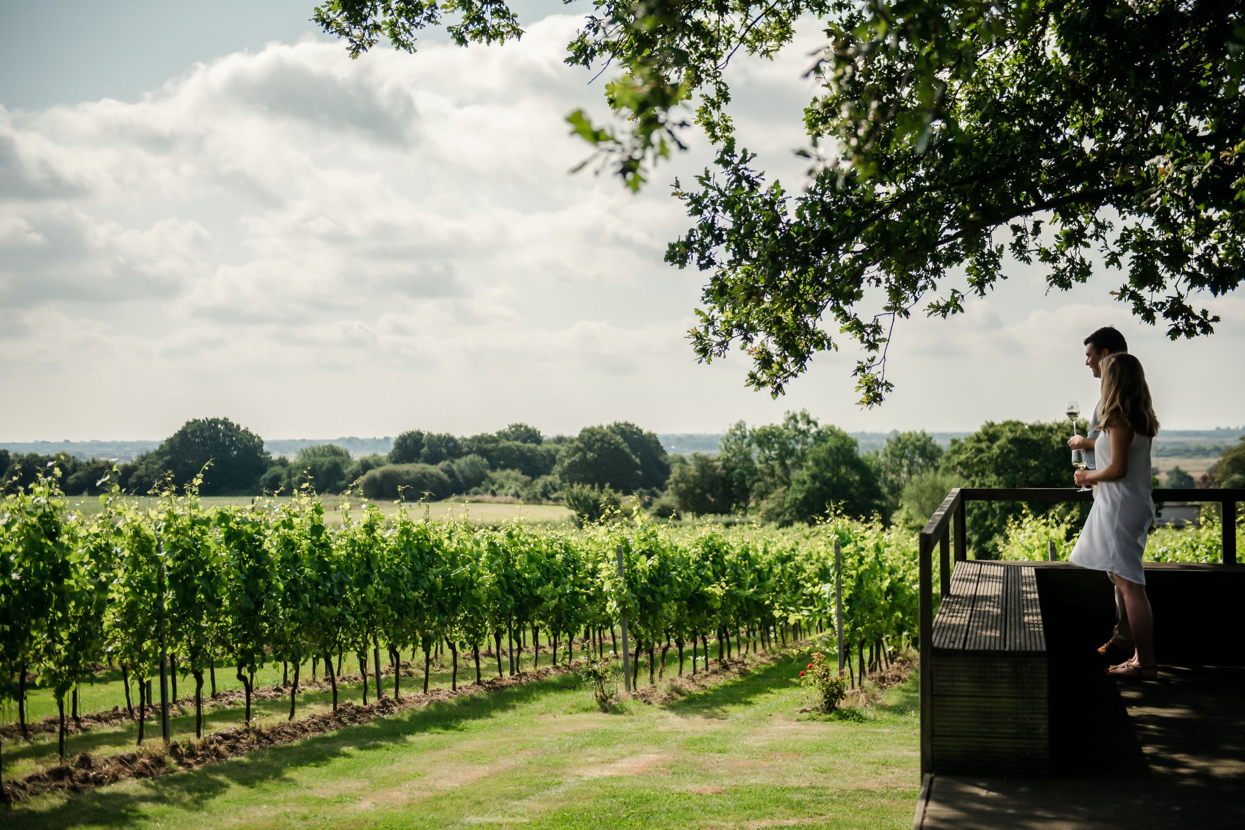 Gusbourne Lunch 05(C)