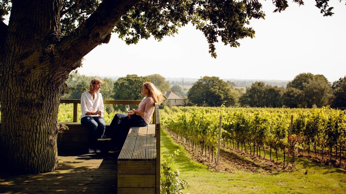 Kent Vineyards Gusbourne