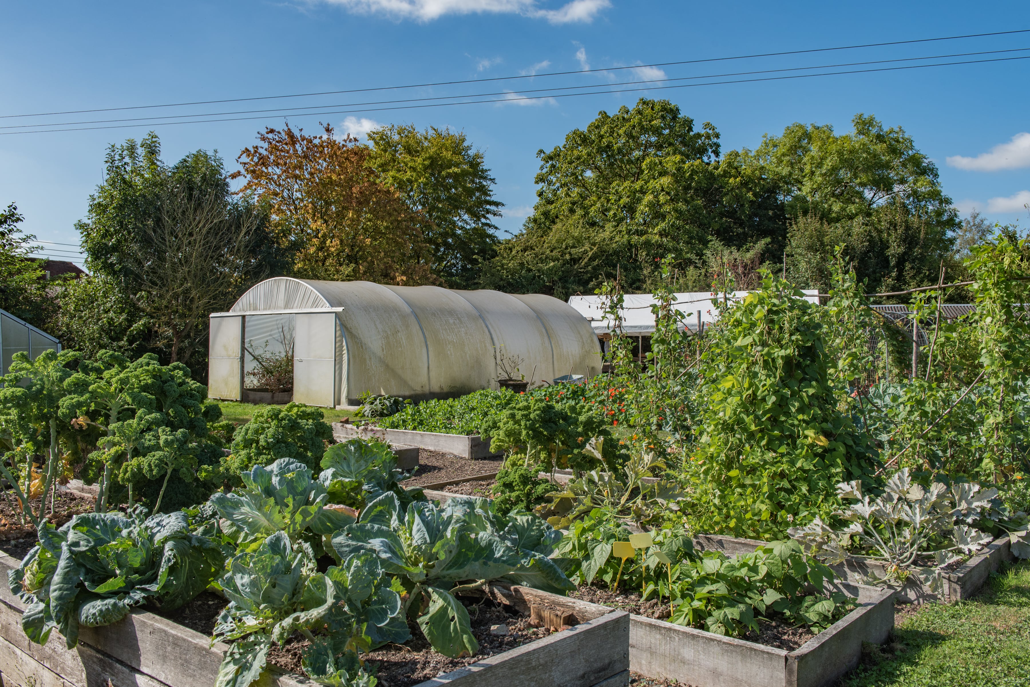 Grounds And Gardens NS1 5159 Min