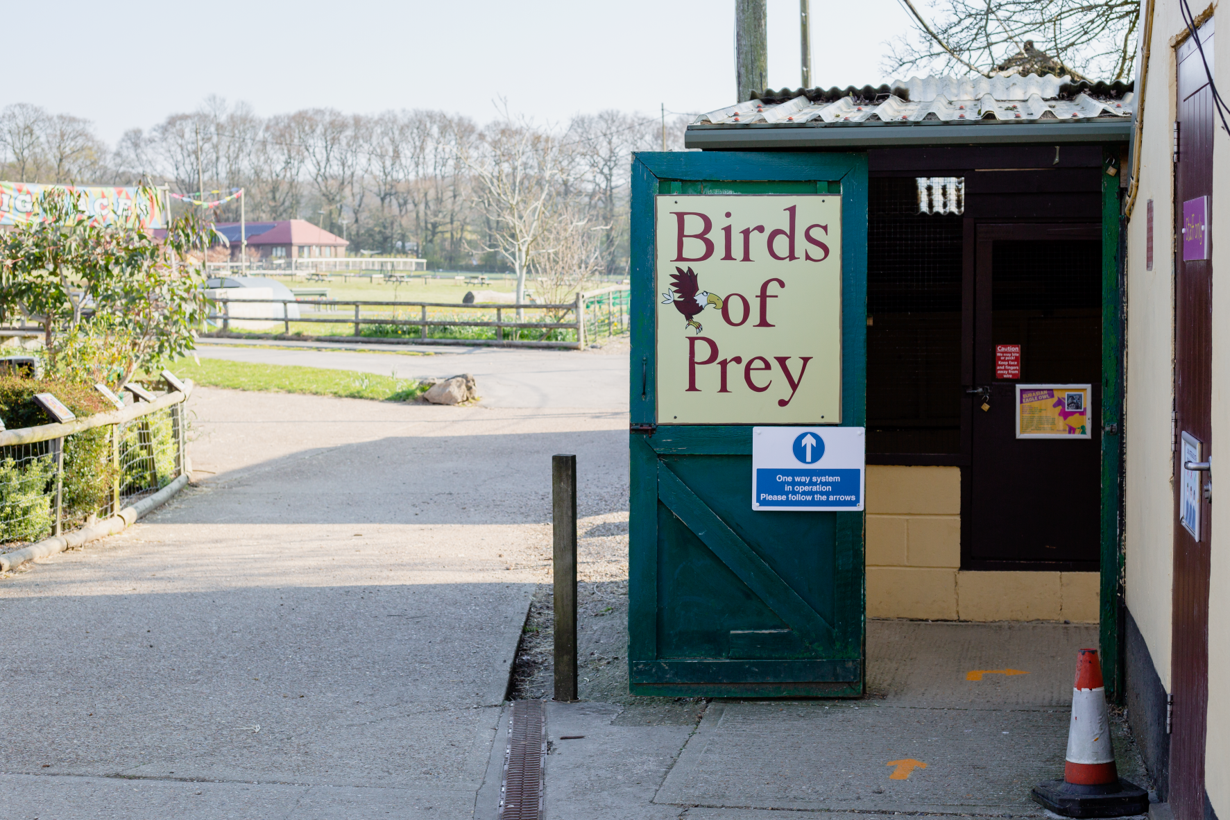 Rare Breeds Birds Of Prey (Sept2021)