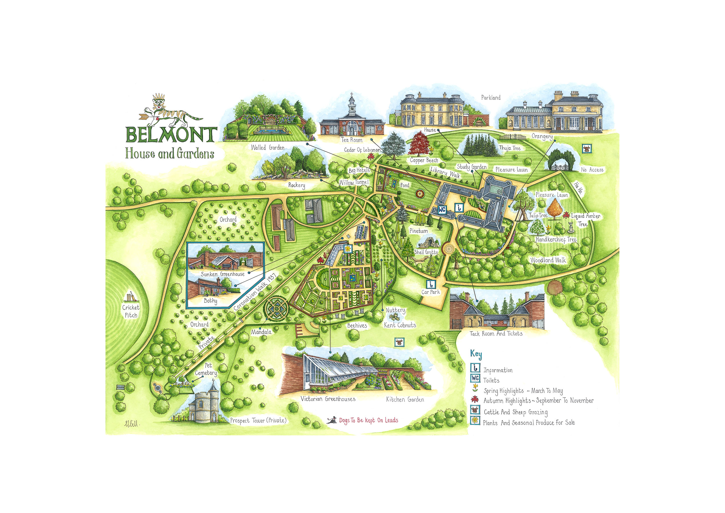 Belmont Map (A2 WT) Small