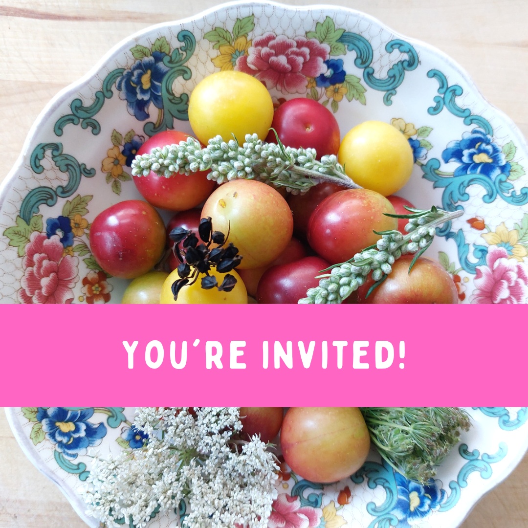 236937095 132762135696482 647063728420066276 N