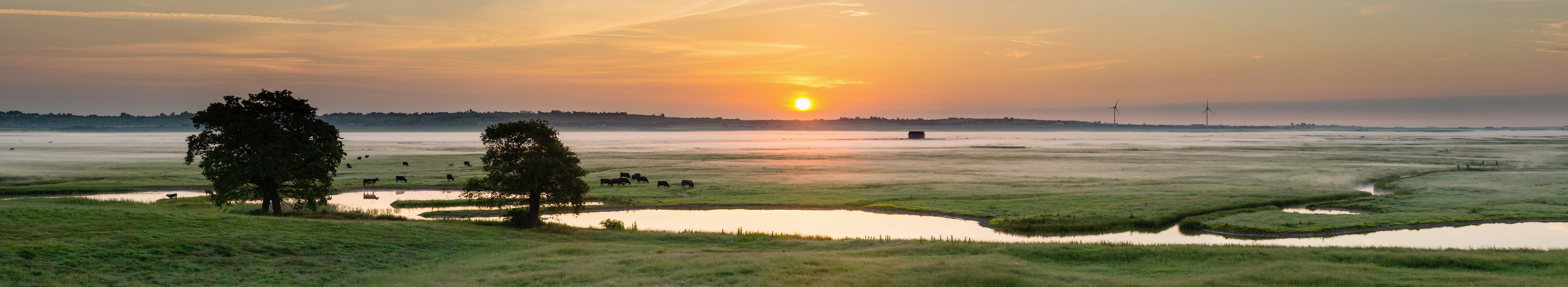 Dawn view from the huts at kingshill Farm.jpg